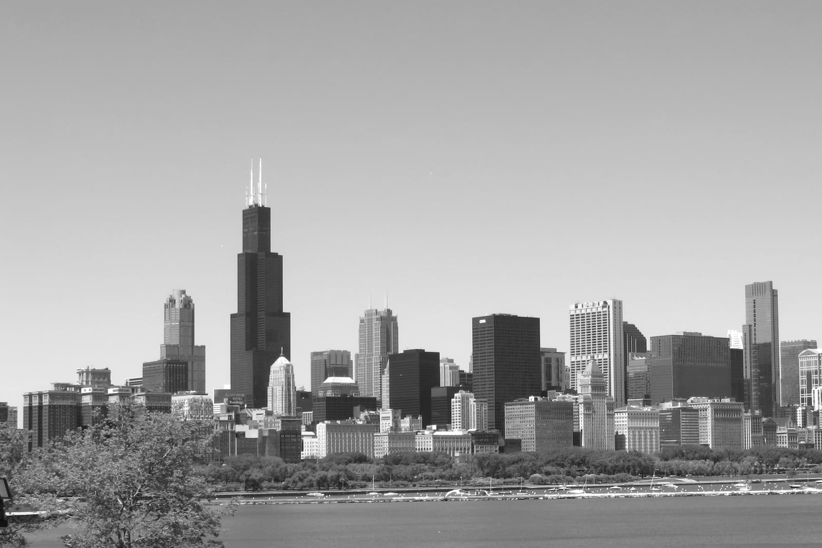 The downtown Chicago skyline seen across the lakefront, with Willis Tower rising above the Loop.